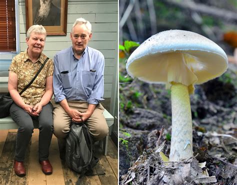 australian mushroom poisoning case